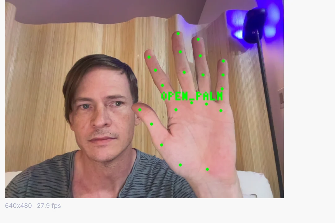 an open palm held up to a webcam, read as a named gesture