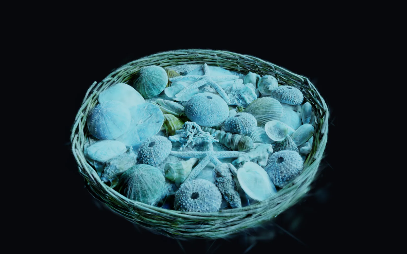 a basket of shells scanned with a phone, graded cold and teal