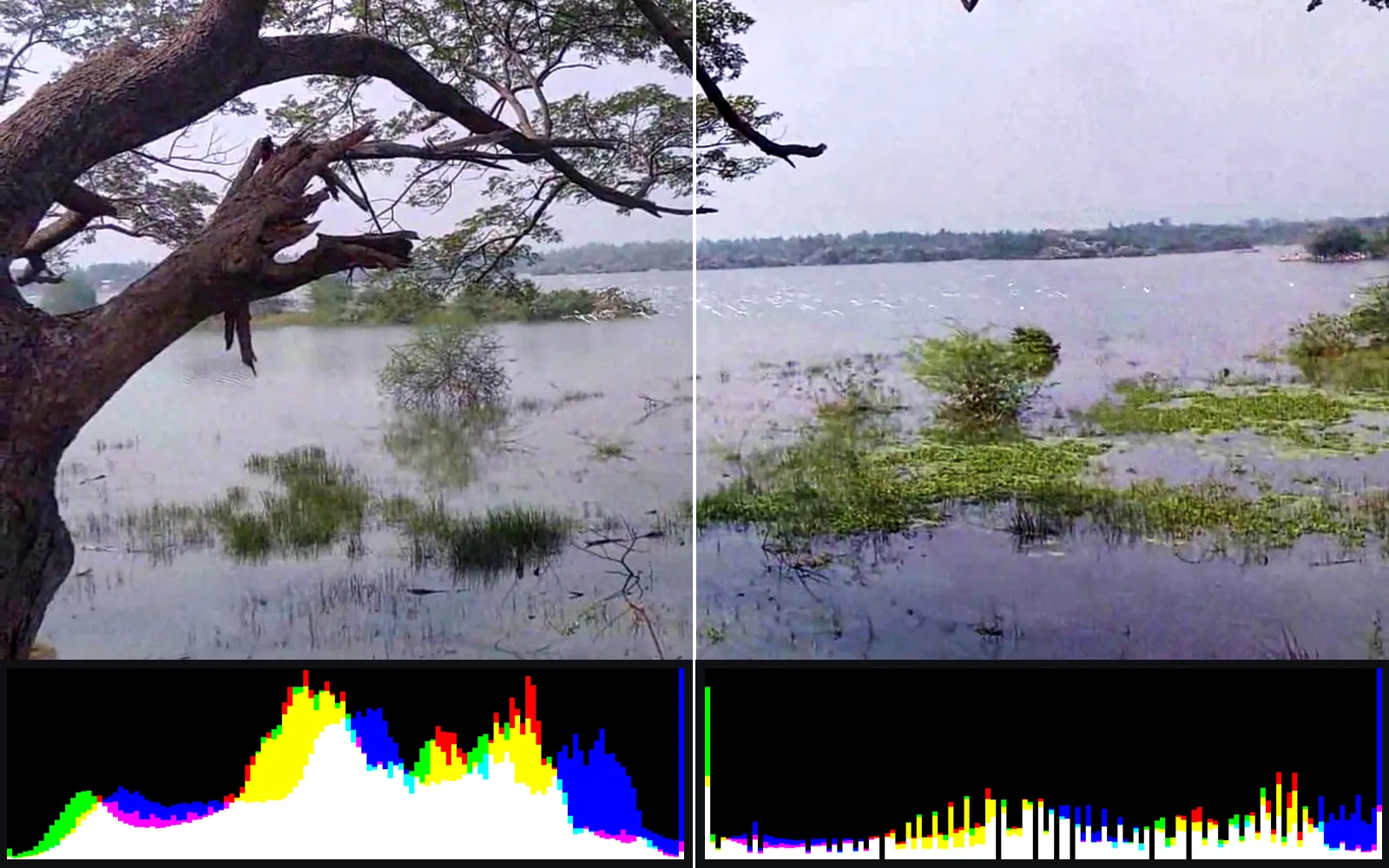 the hazy lake before and after Levels and Curves, each with its histogram below