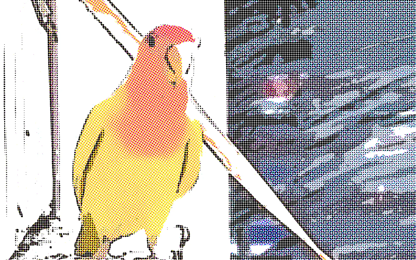 a lovebird printed as a comic panel, flat color, outlines and dots