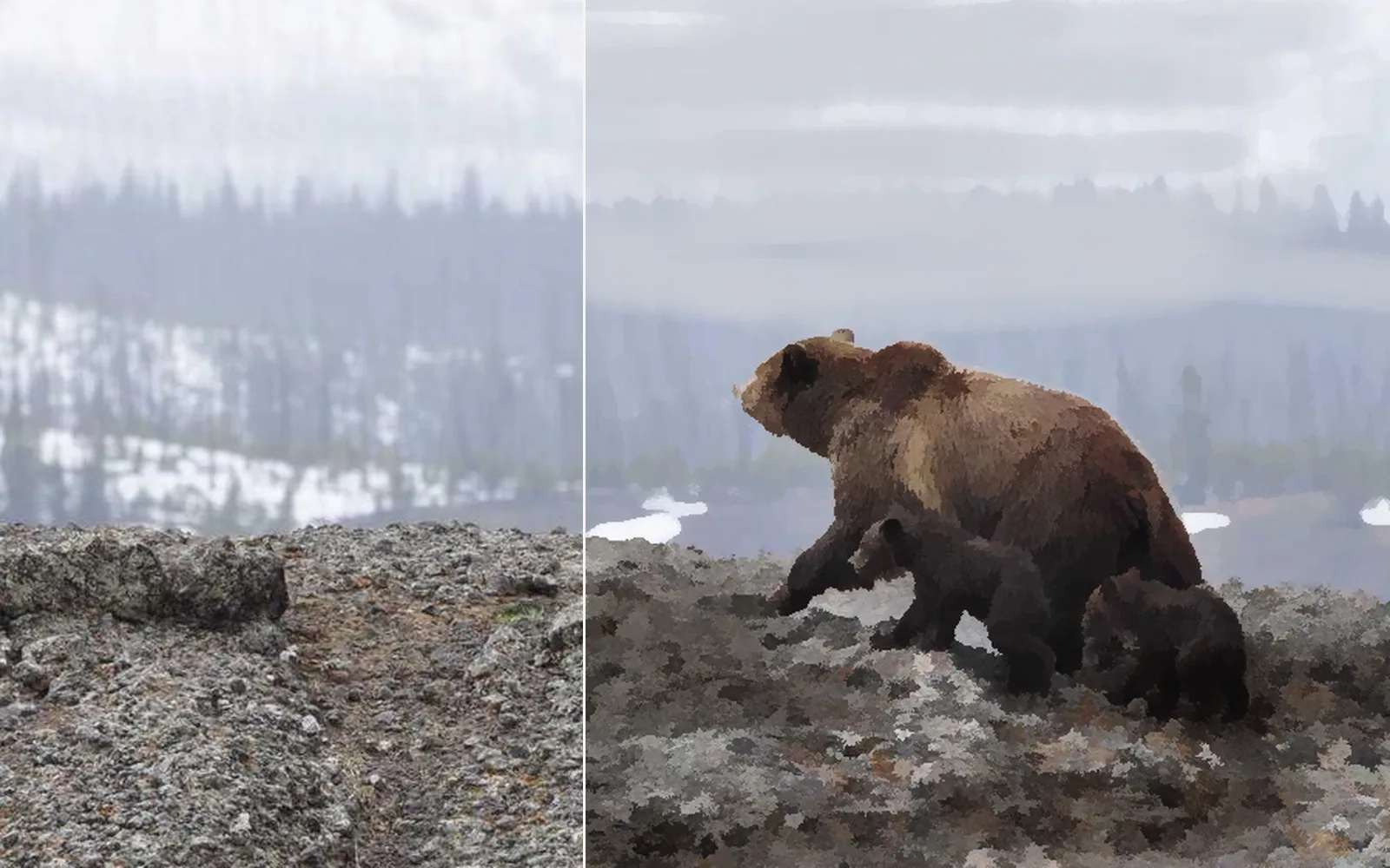 a bear photo on the left, painted over with soft strokes on the right