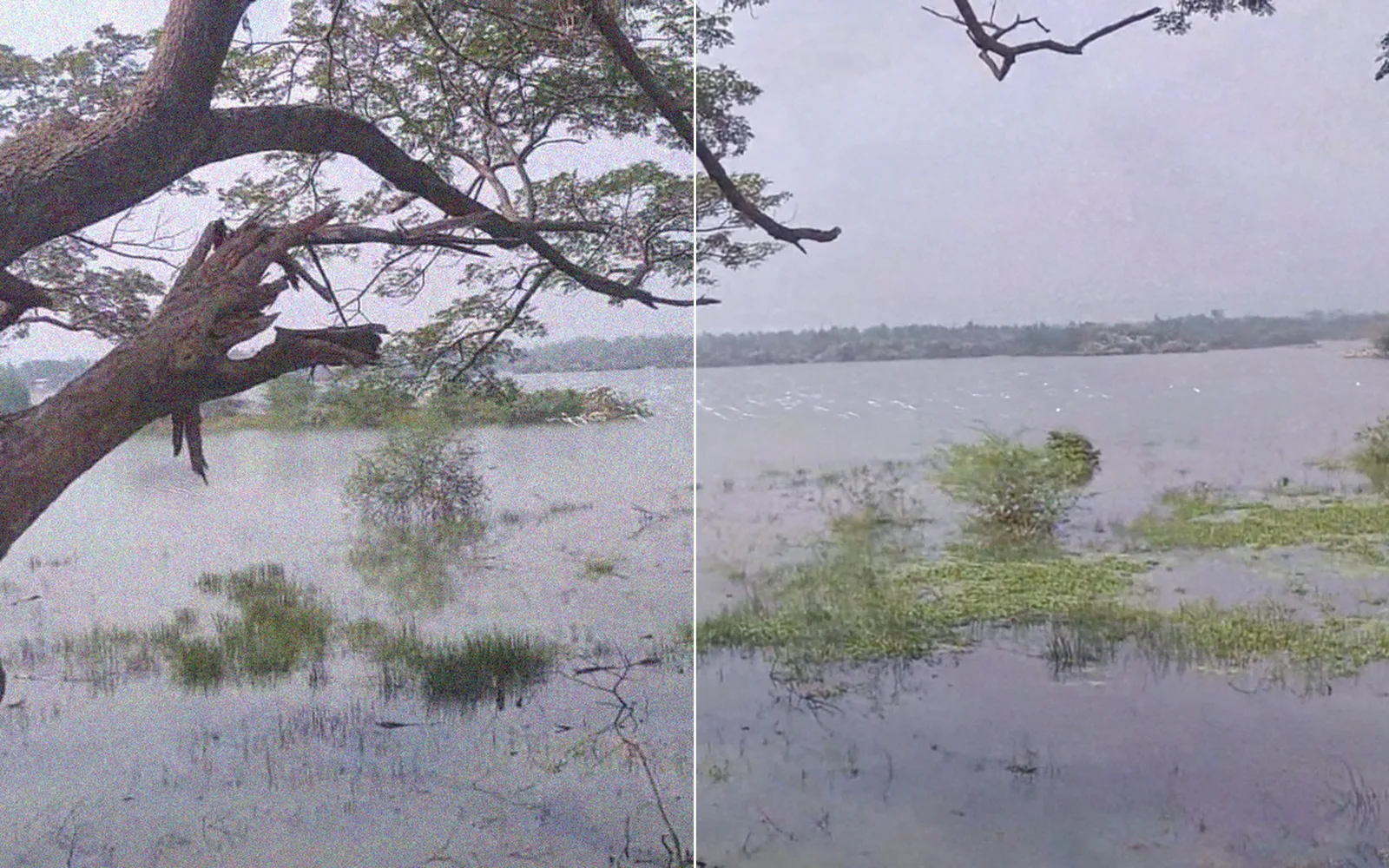 A hazy lake photo before and after restoring