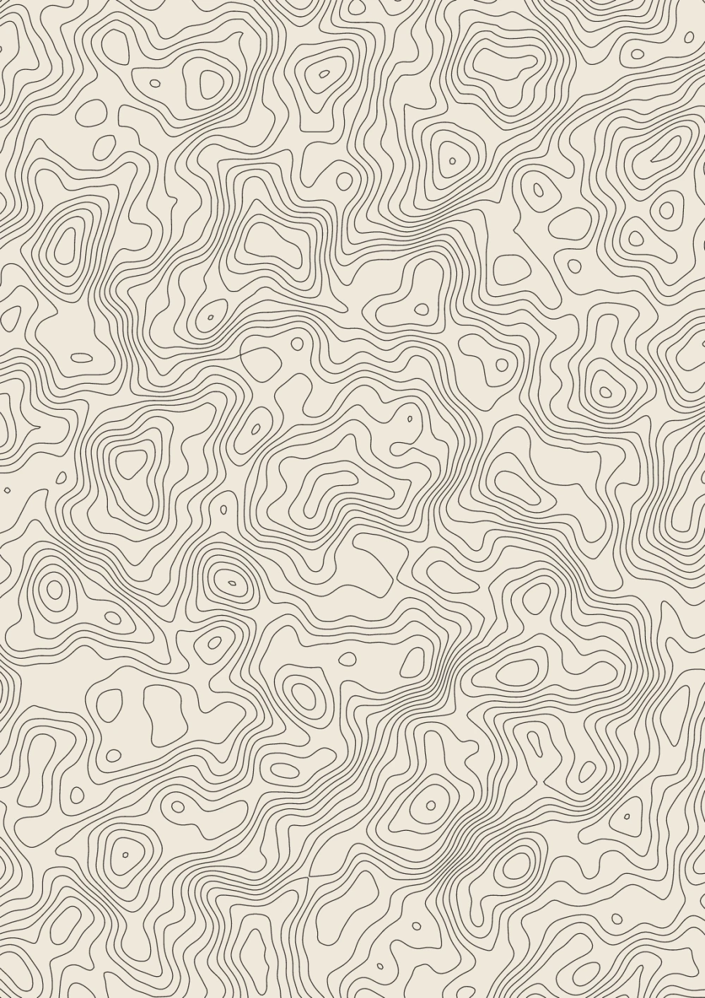 Dark contour lines on cream paper, pulled out of a noise field, every line one stroke