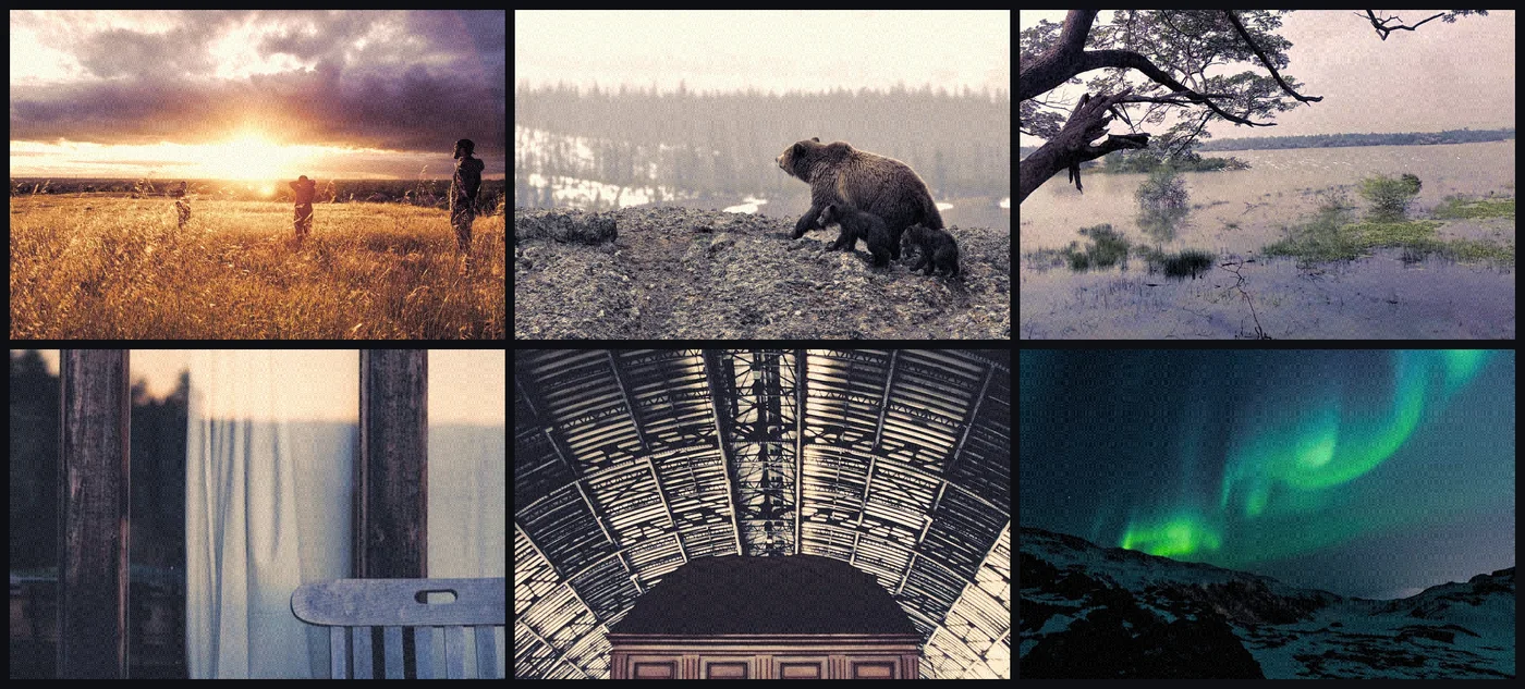 the same six photos with one warm look on all of them