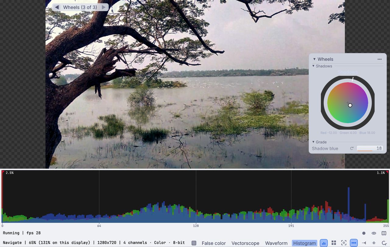 a hazy lake clip warmed on the color wheels while Levels sets its blacks and whites, the histogram opening up underneath
