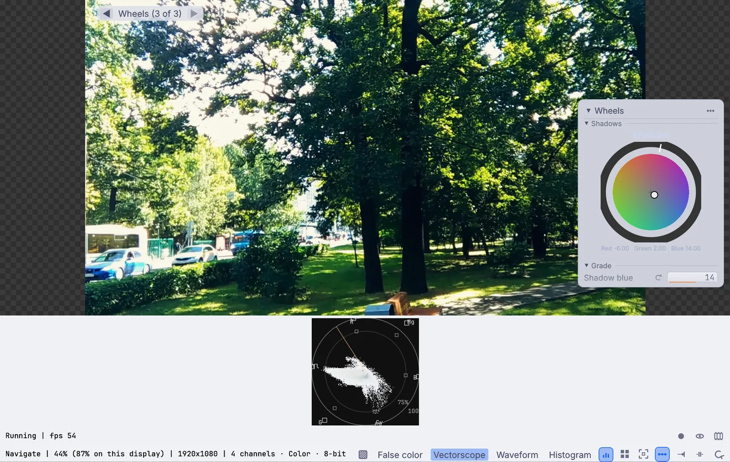 the vectorscope under a graded park walk, with its skin tone line, and the shadows wheel on the picture