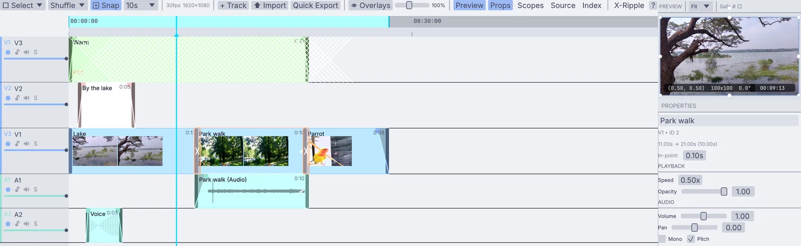 the cut on the timeline: an adjustment clip and a title over the lake, the park walk and the parrot, with their sound below