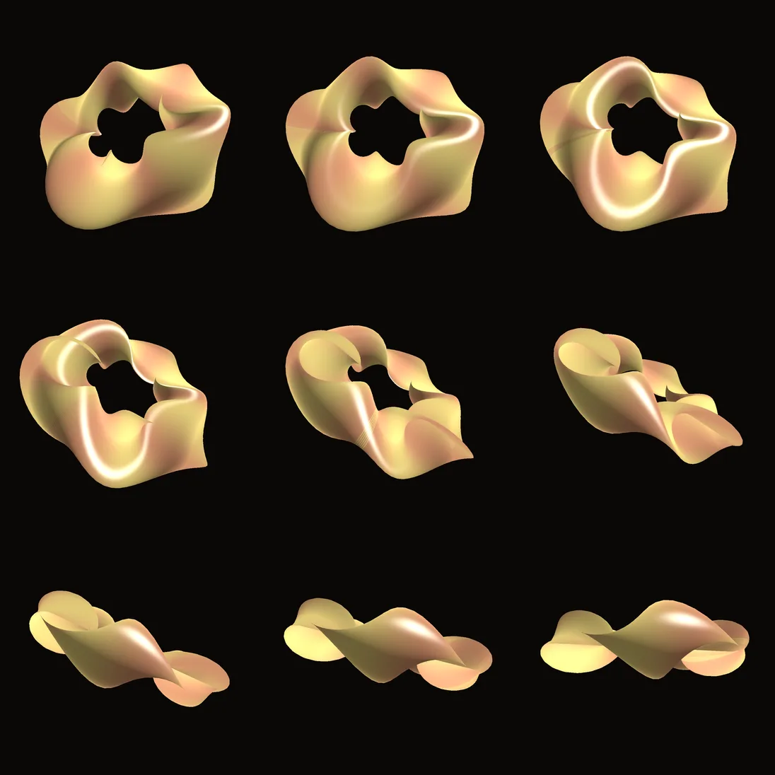 Nine frames from the folder the command wrote, in order, as the torus turns.