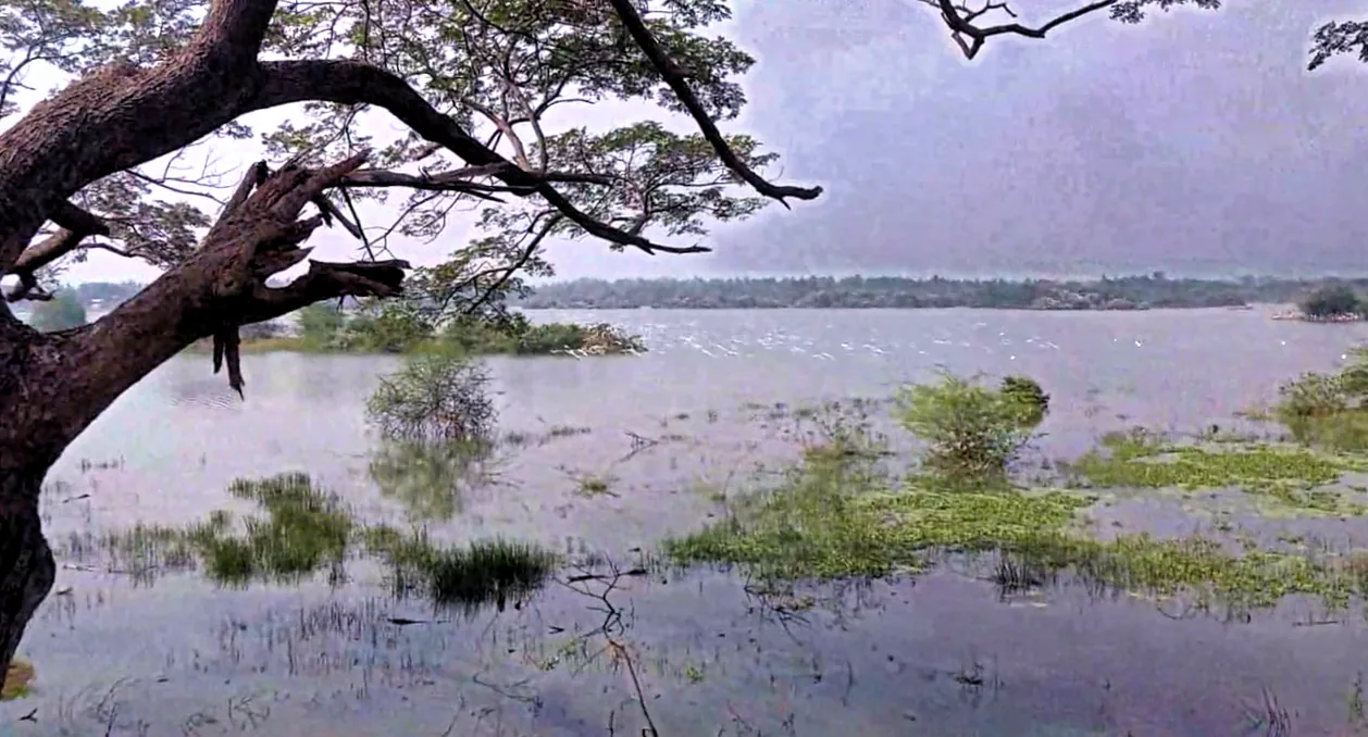 A hazy lake after this tutorial: clearer water, a deeper sky and a level shoreline.