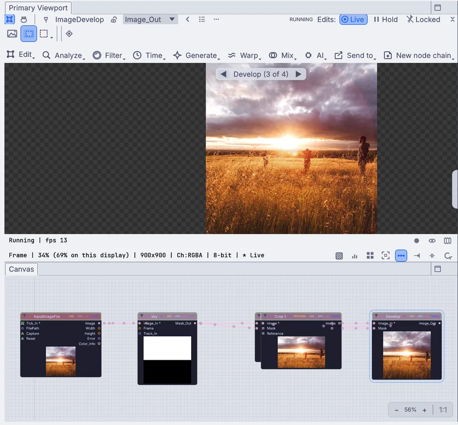 The viewport showing a photo at its Develop step, and the canvas below it with the same four nodes
