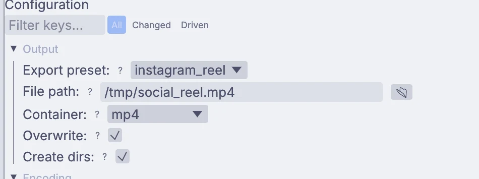 An OutputVideoFile set to the instagram_reel export preset
