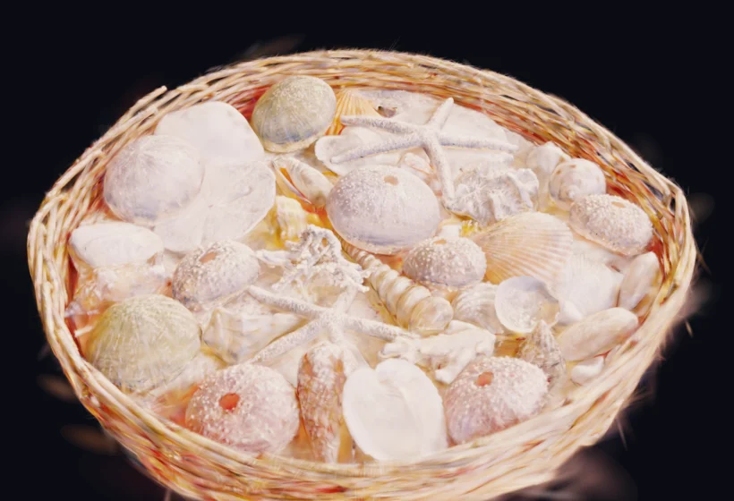 A scanned basket of seashells as splats, relit